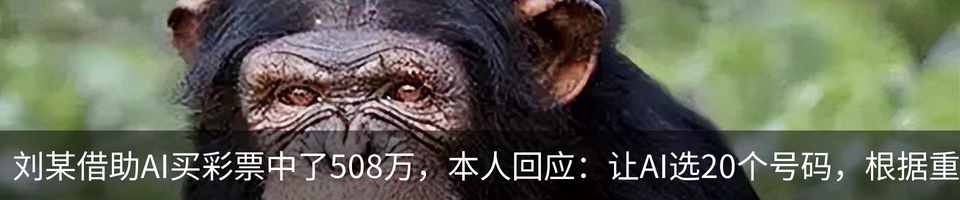 行业资讯