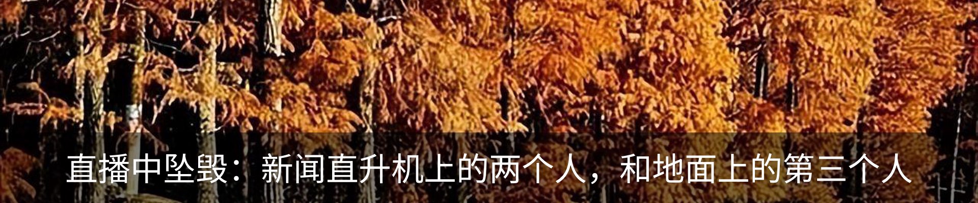 行业资讯