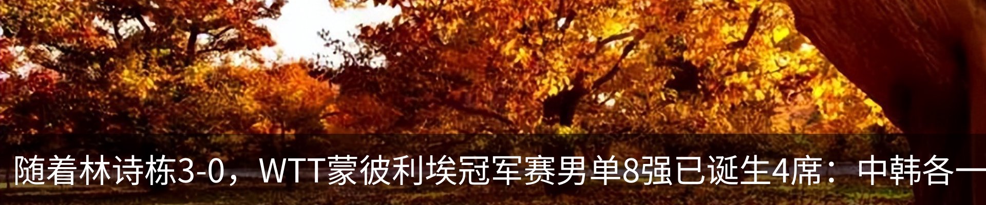 行业资讯