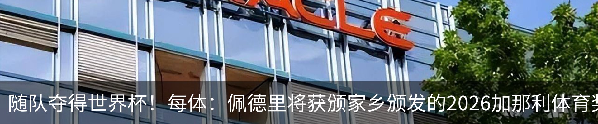 行业资讯